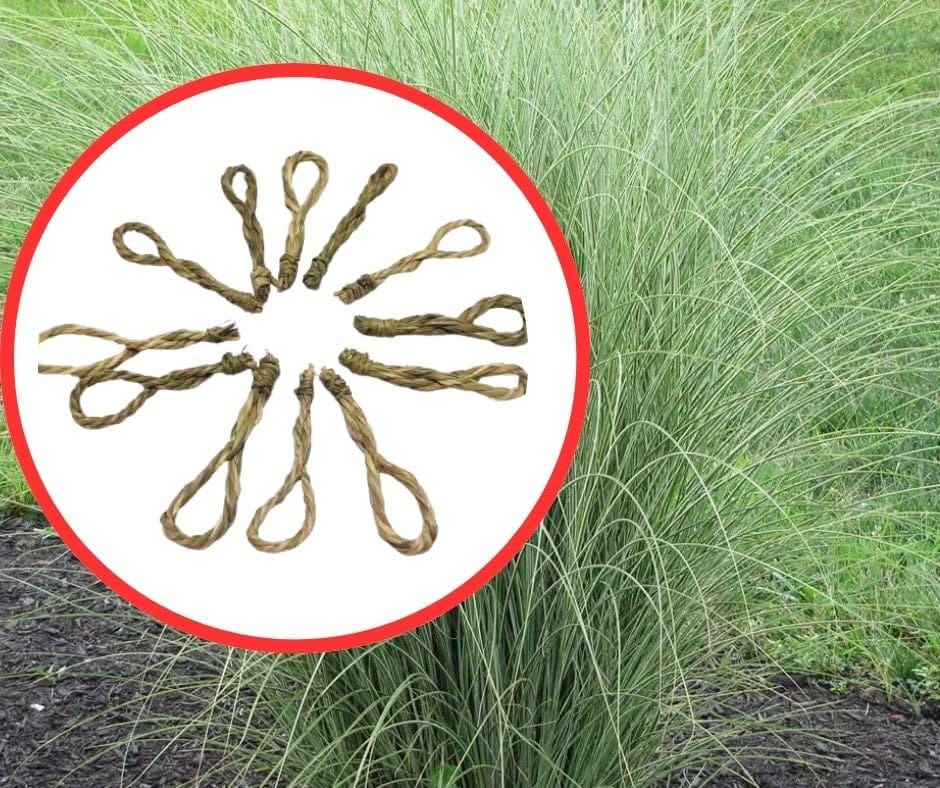 Pavitri/Paiti (Made of Kusha Grass)/Darbha Grass Ring - Pack of 12 - Image 2
