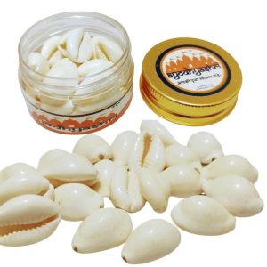 white cowries