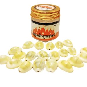 Cowrie Shells for Laxmi Pooja