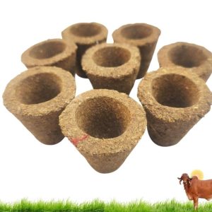 empty cow dung cake