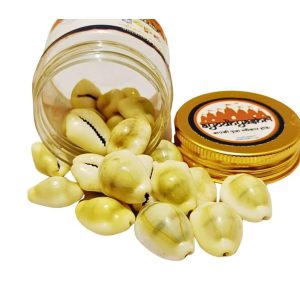 yellow cowries