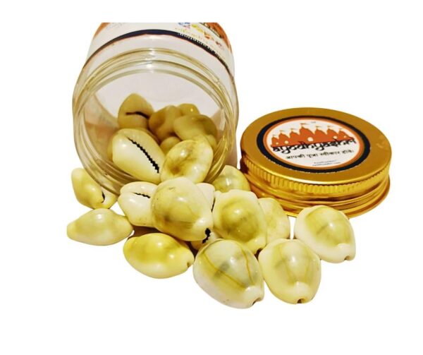 yellow cowries