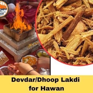 devdar dhoop lakdi