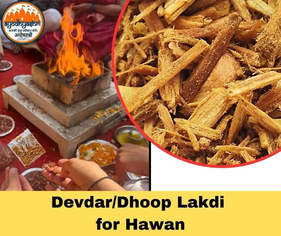 devdar dhoop lakdi