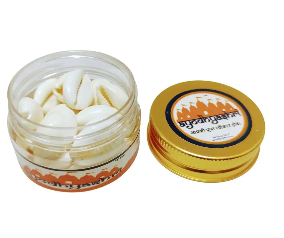 white cowries -51