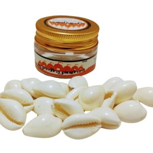 white cowries