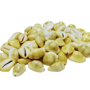 cowrie shells for Diwali pooja