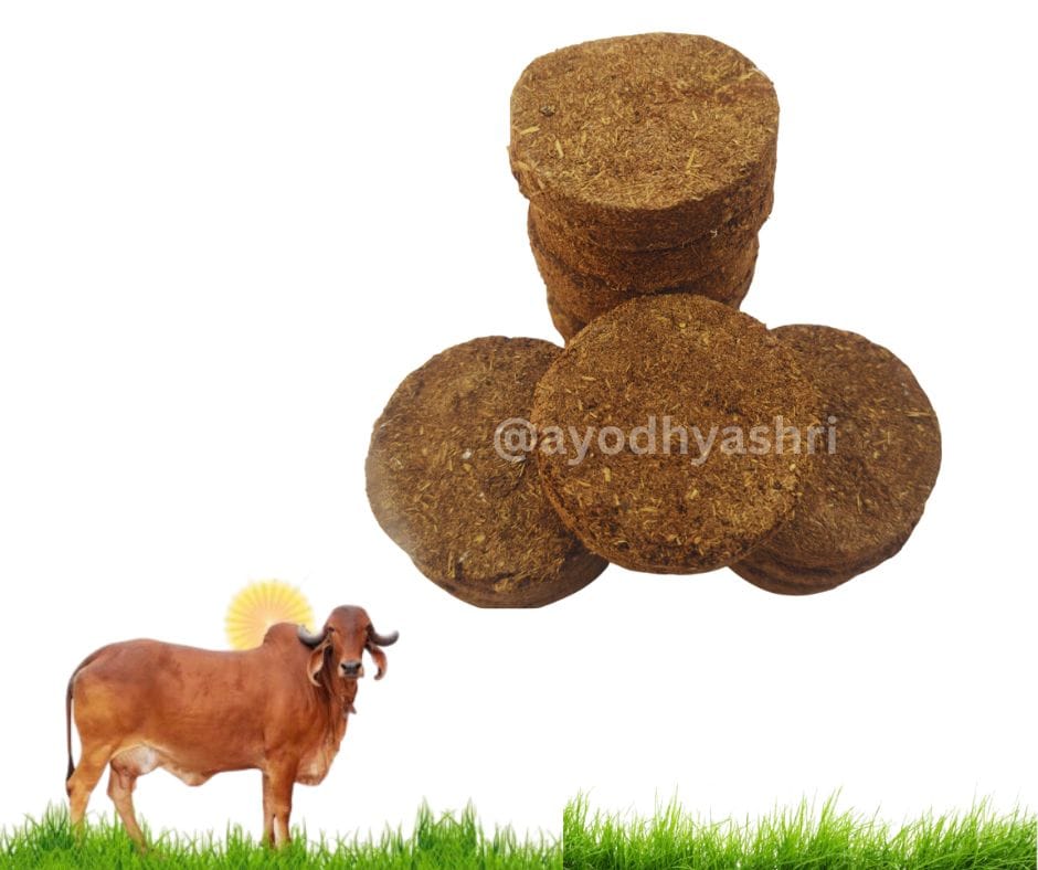 cow dung cake