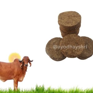Cow Dung Cakes