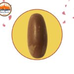 Narmadeshwar Shivling for Daily Home Pooja