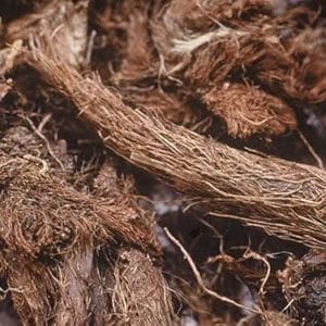 Jatamanshi Root for Hawan