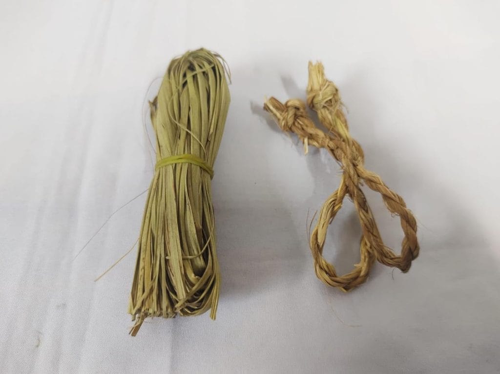 Darbha Grass Ayodhyashri