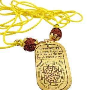 Shree Bagula Mukhi Yantra Ayodhyashri