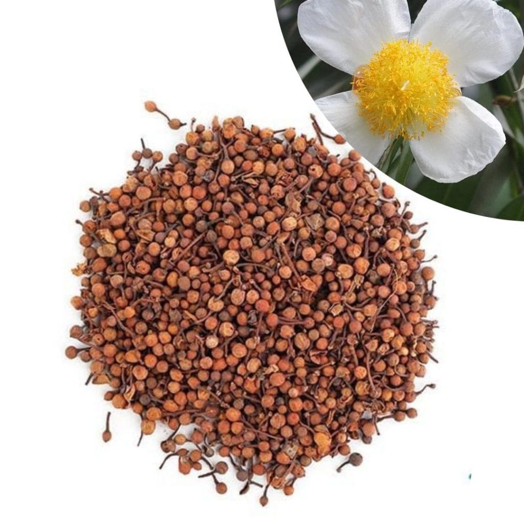 Nagkesar for hawan-ayodhyashri