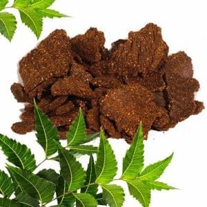 Neem Khali