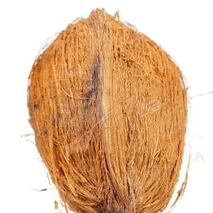 Pooja Nariyal Shri Phal – Whole Coconut for Hindu Puja