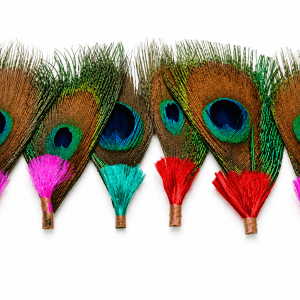 Morpankh for Laddu Gopal Mukut | Natural Peacock Feather for Kanha Ji, Krishna Ji & Bal Gopal Crown Shringar | Janmashtami Decoration Multicolor, 4-7 cm, Pack of 6